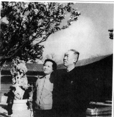 ZhaoJiuzhang_009.jpg